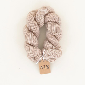 Creativo Nova uni 178 shiitake mushroom