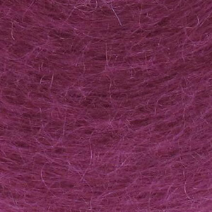 Diva solo  brombeere